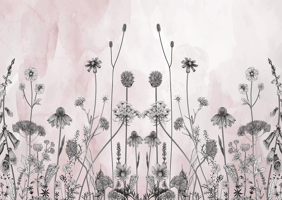 Desenho de flores e plantas Desenho de flores e plantas