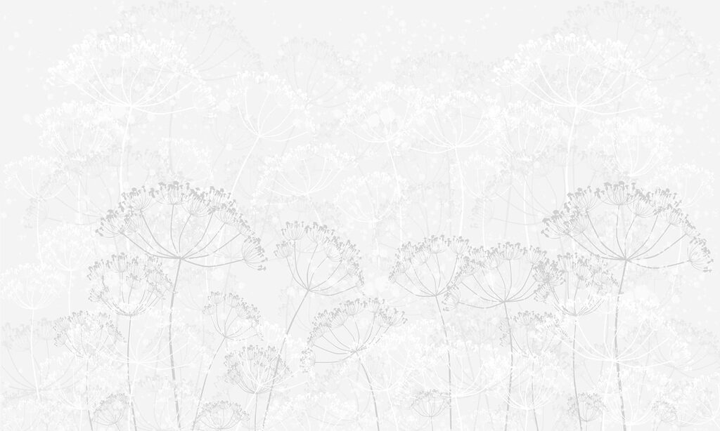 Fundo branco com flores Fundo branco com flores