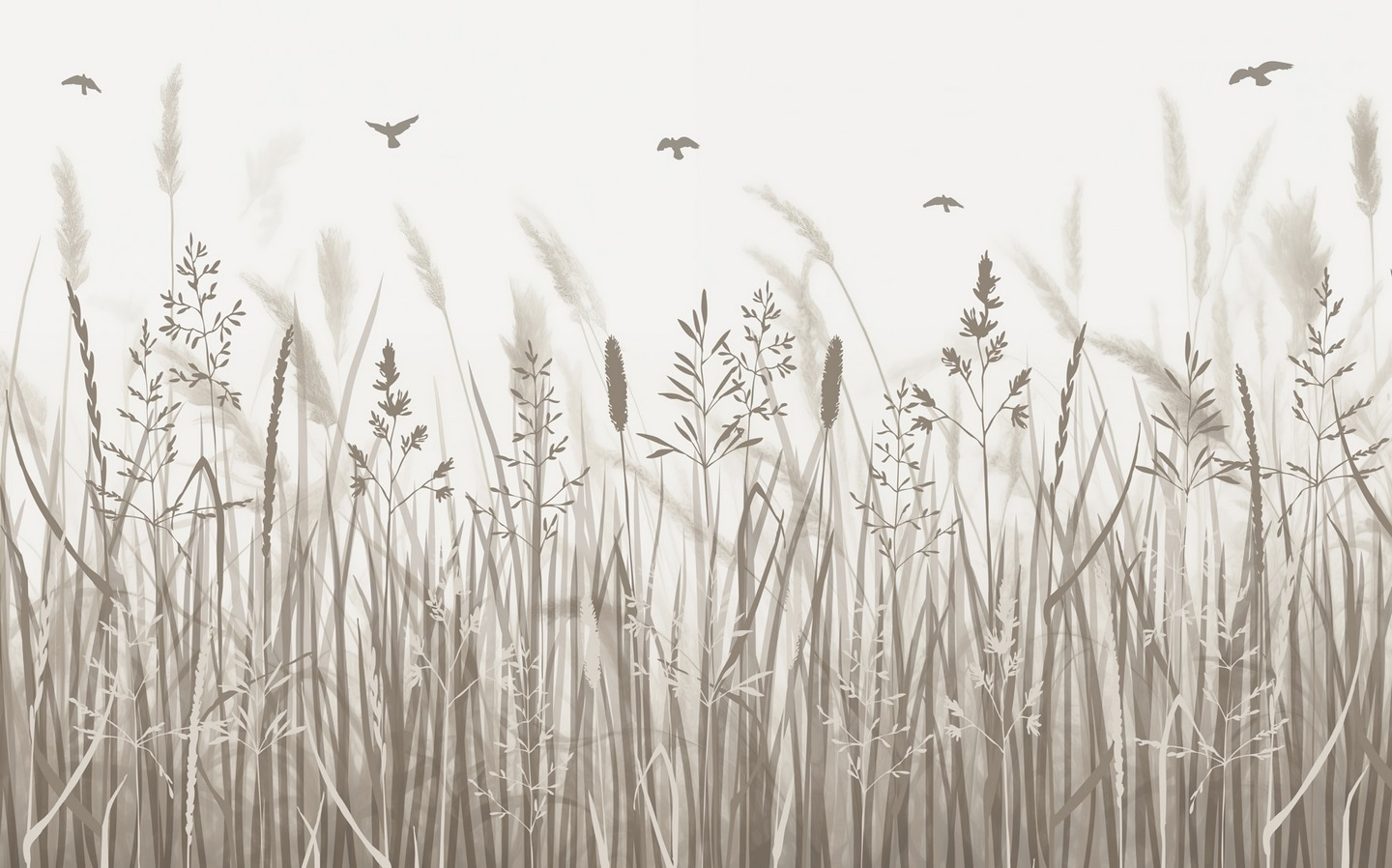 w02119p - Campo de relva com pássaros a voar - tegory