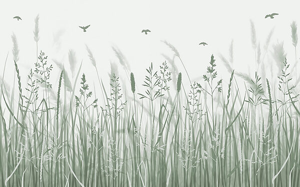 Field of grass with birds flying