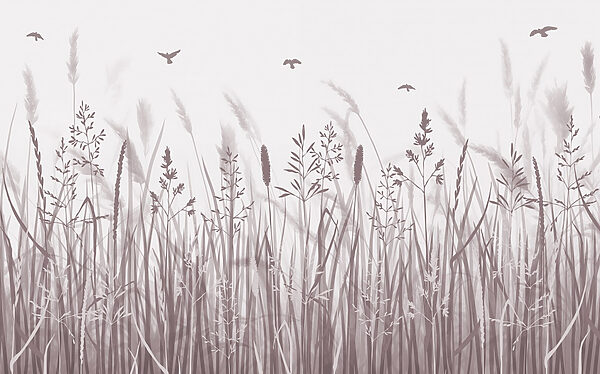 Field of grass with birds flying