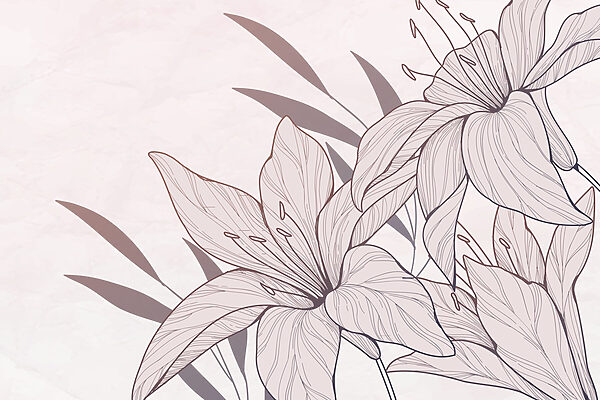 Desenho de flores e folhas Desenho de flores e folhas