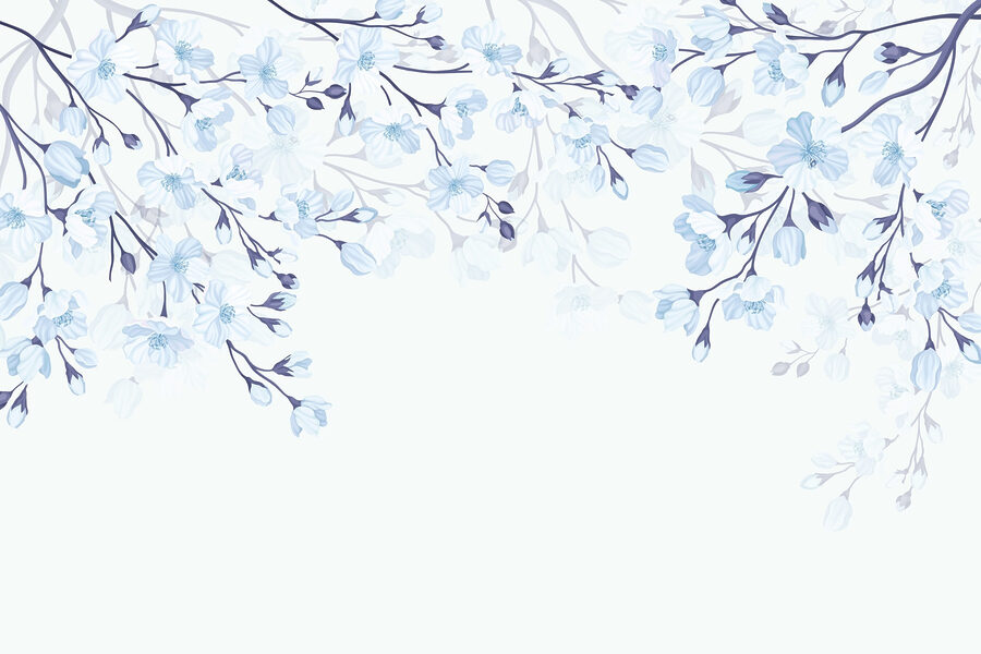 Papel de parede Flores brancas e azuis sobre um fundo branco - Image 3