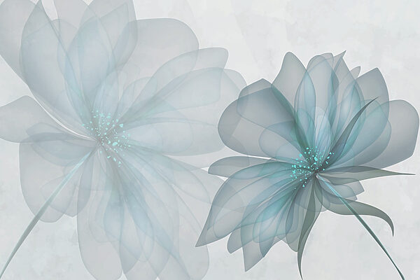 Um par de flores transparentes Um par de flores transparentes