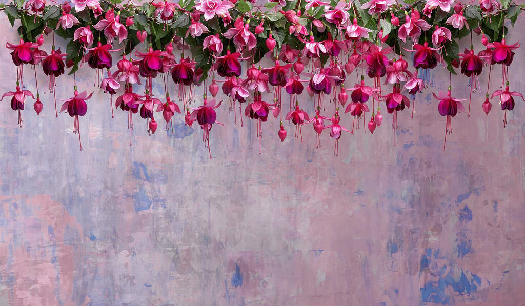 Grupo de flores cor-de-rosa Grupo de flores cor-de-rosa
