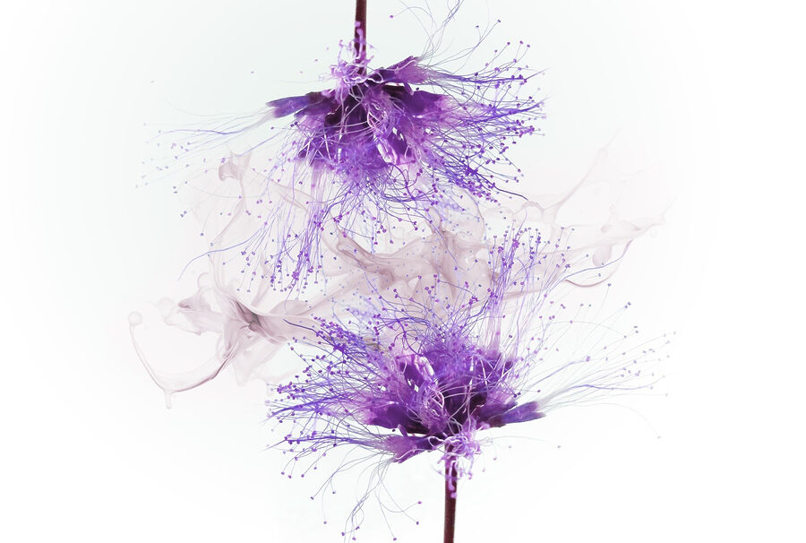 Papel de parede Flores roxas com salpicos de púrpura - Image 4