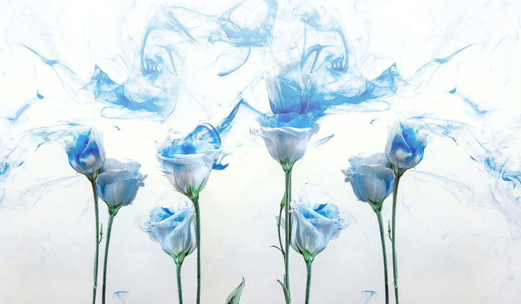 Grupo de flores com tinta azul na água Grupo de flores com tinta azul na água