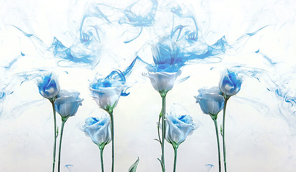 Grupo de flores com tinta azul na água Grupo de flores com tinta azul na água
