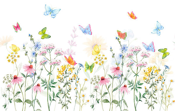 Pintura de flores e borboletas Pintura de flores e borboletas