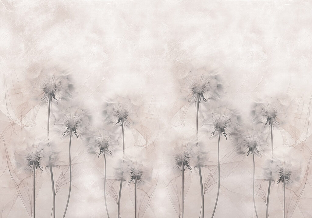 Group of dandelions on a white background