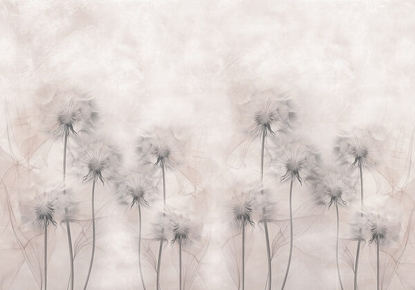 Group of dandelions on a white background