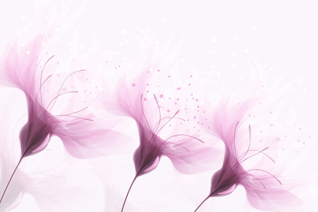 Soft petals in gentle hues Soft petals in gentle hues