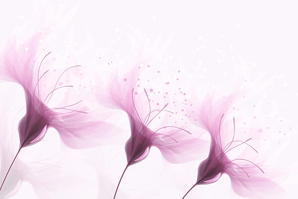 Soft petals in gentle hues Soft petals in gentle hues