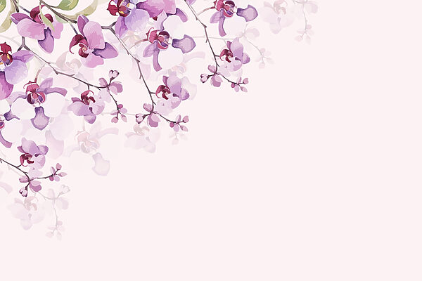 Orquídeas delicadas em tons pastel suaves Orquídeas delicadas em tons pastel suaves