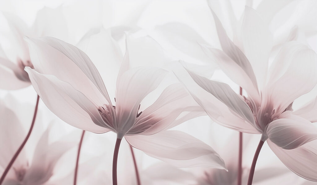 Flores delicadas em tons suaves Flores delicadas em tons suaves