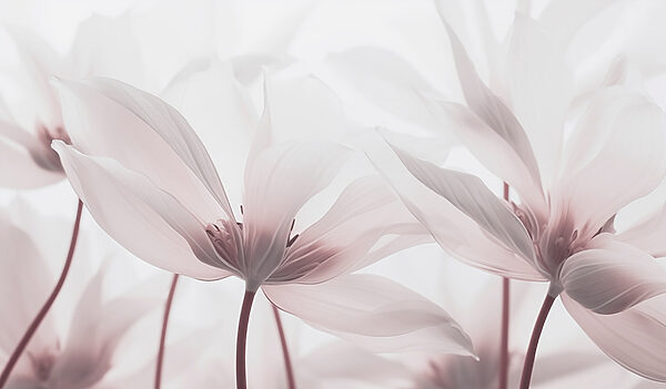 Flores delicadas em tons suaves Flores delicadas em tons suaves