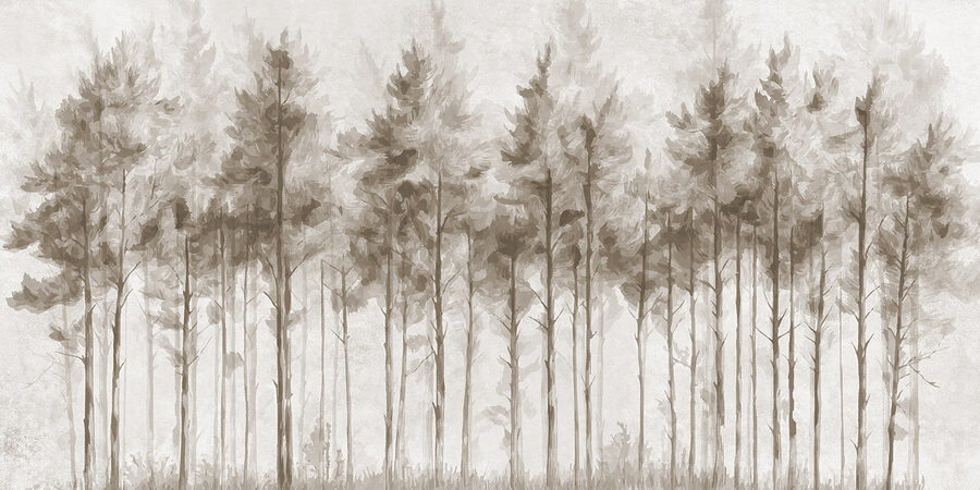 Grupo de árvores numa floresta