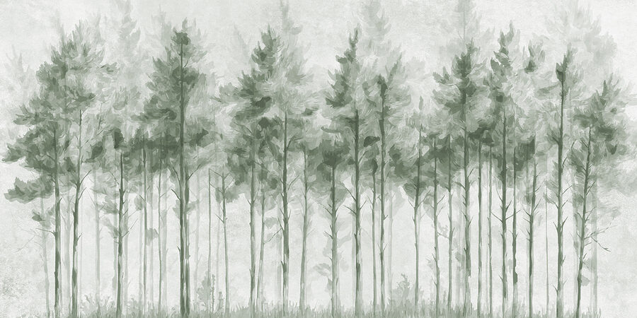 Grupo de árvores numa floresta