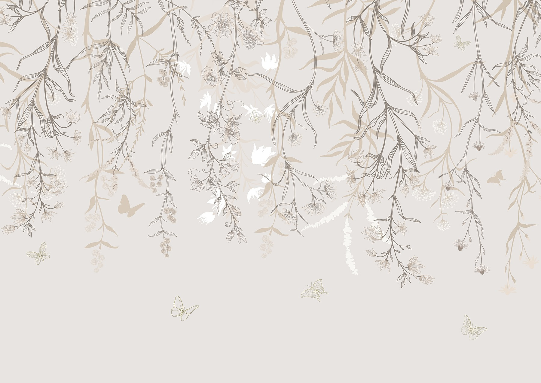 Delicate blooms cascade from above Delicate blooms cascade from above