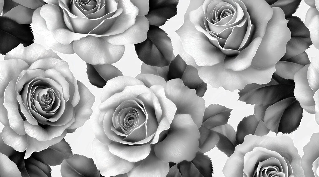 Grupo de rosas com folhas Grupo de rosas com folhas