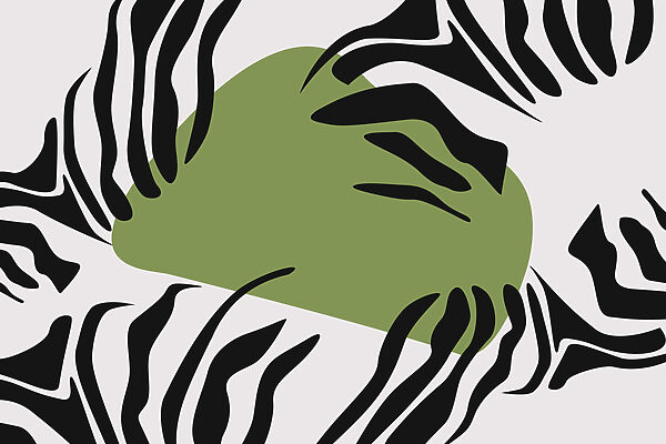 Riscas de zebra verdes e pretas Riscas de zebra verdes e pretas