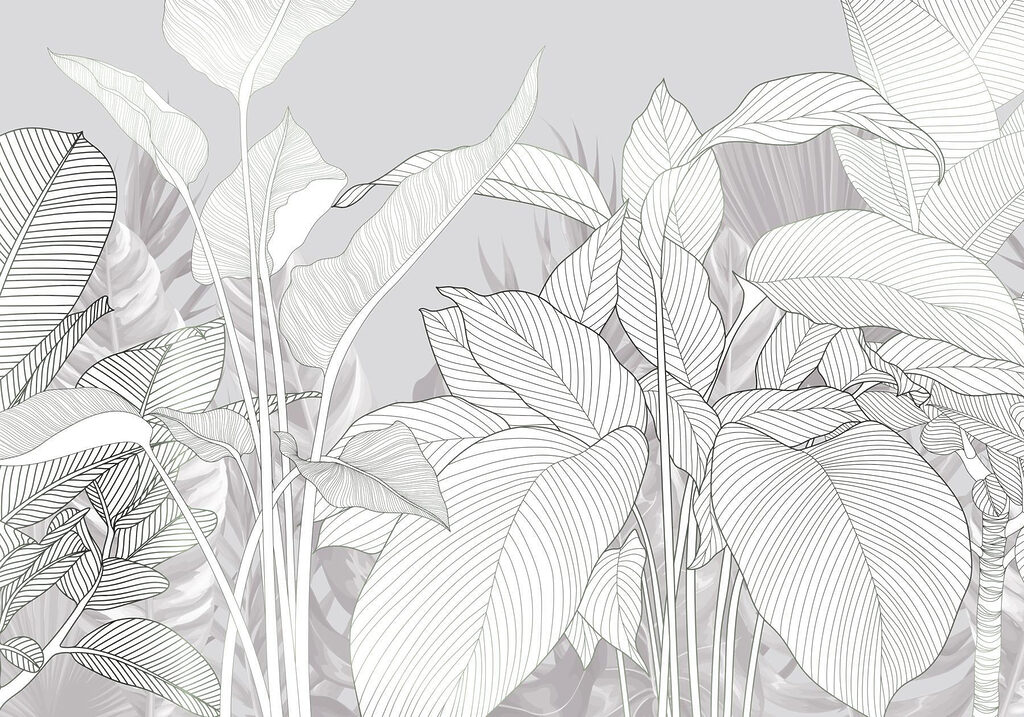 Linhas elegantes da beleza da natureza’s Linhas elegantes da beleza da natureza’s
