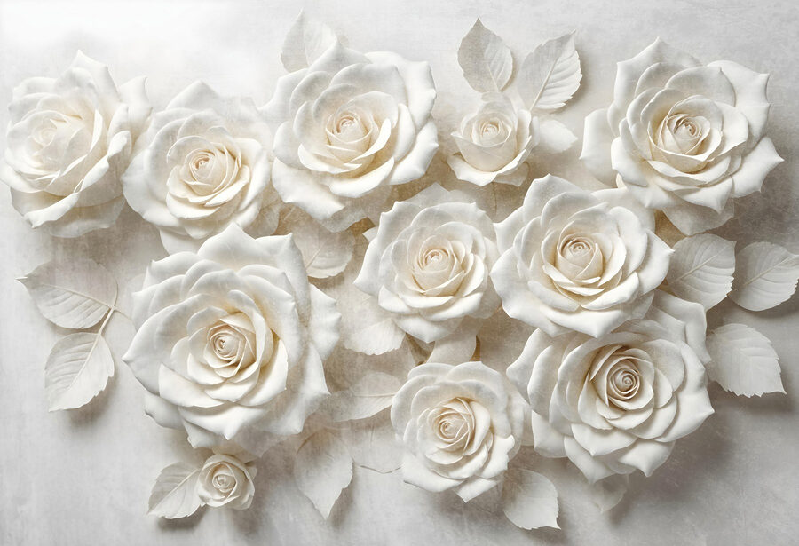 Grupo de rosas brancas