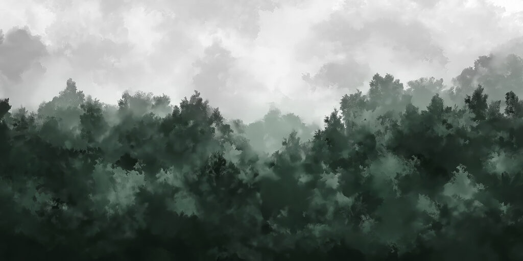 Floresta com nevoeiro e árvores Floresta com nevoeiro e árvores