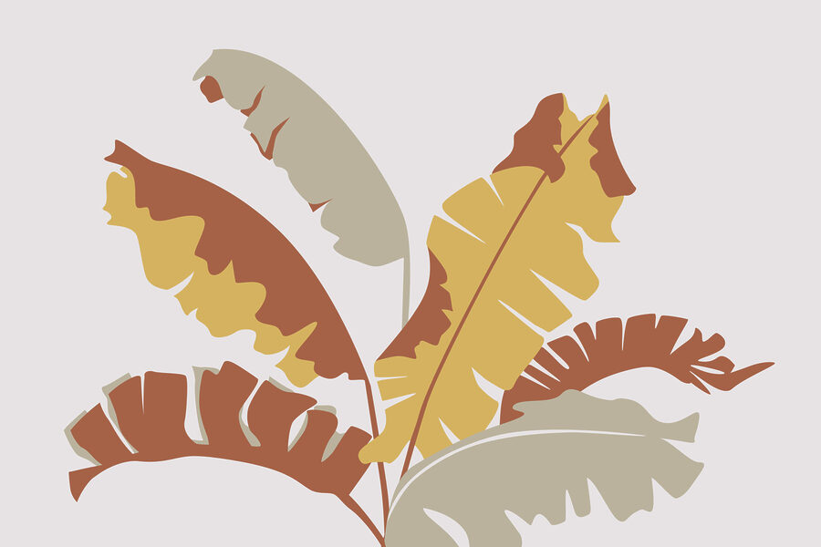 Planta com folhas