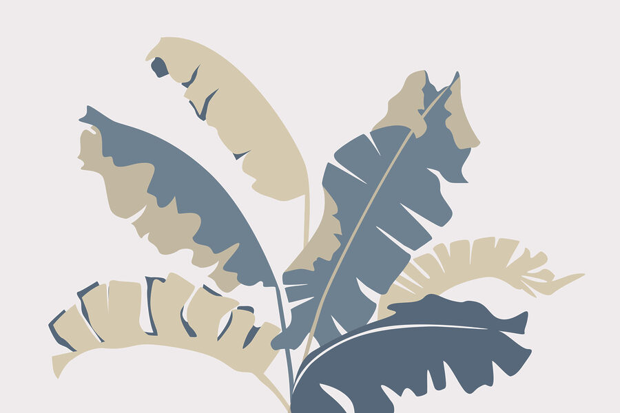 Planta com folhas