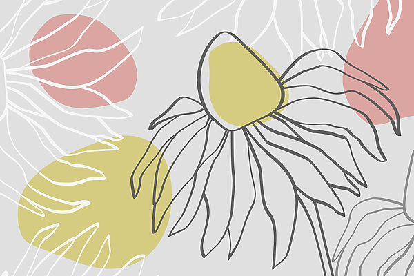 Desenho de uma flor Desenho de uma flor