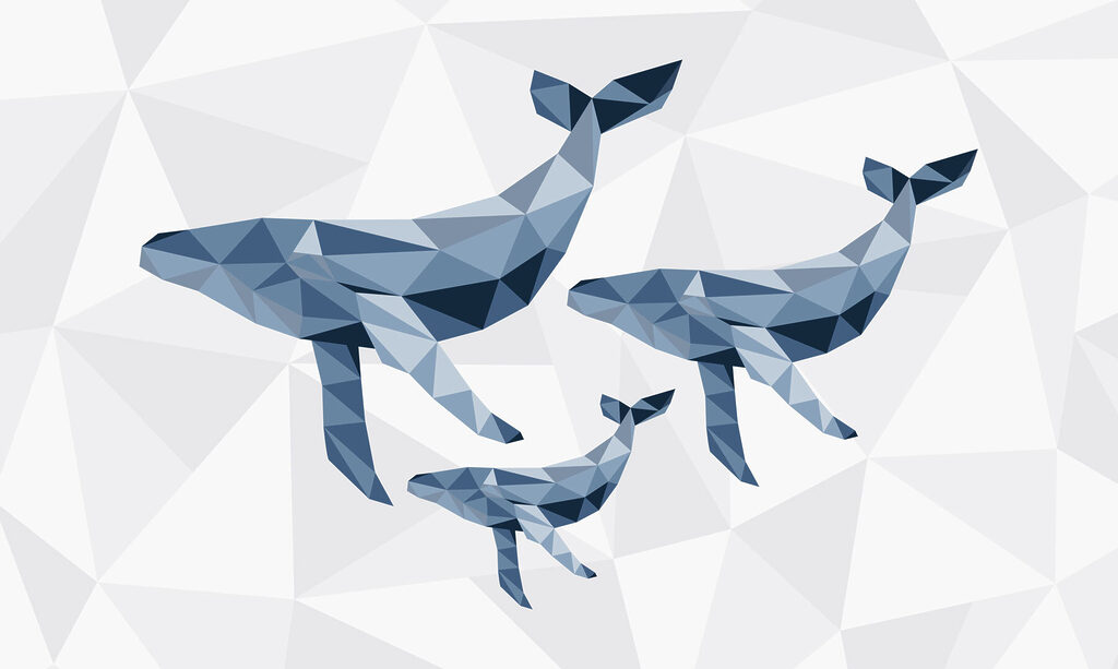 Grupo de baleias em estilo low poly Grupo de baleias em estilo low poly