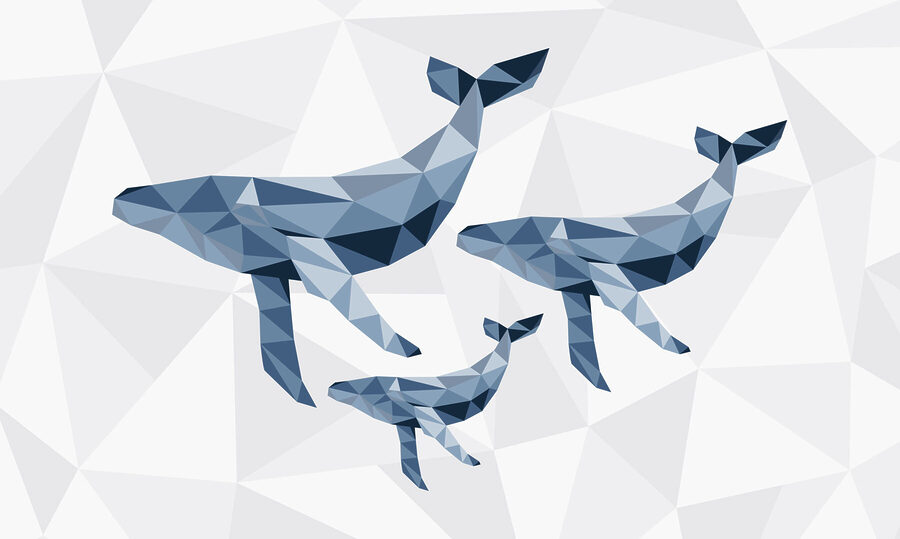 Grupo de baleias em estilo low poly