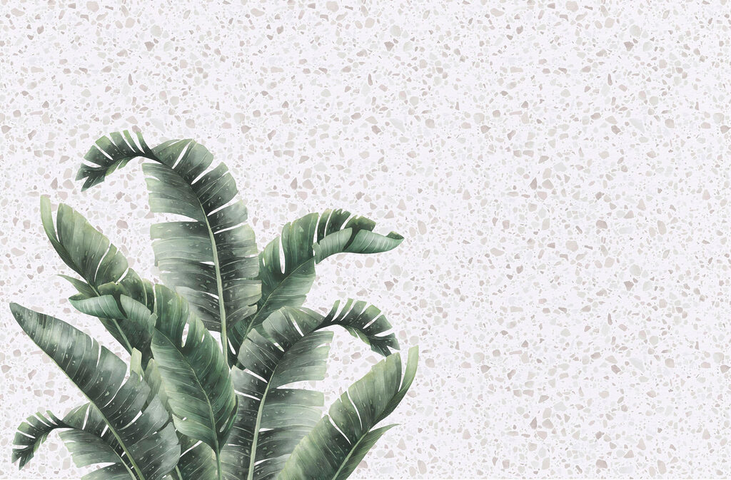 Planta com folhas sobre uma superfície branca Planta com folhas sobre uma superfície branca