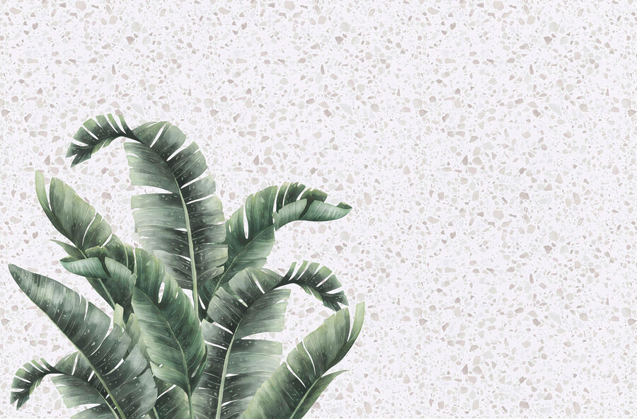 Planta com folhas sobre uma superfície branca Planta com folhas sobre uma superfície branca