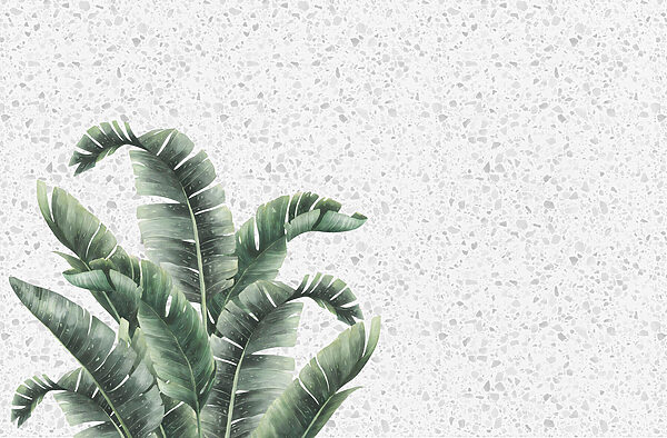 Planta com folhas sobre uma superfície branca Planta com folhas sobre uma superfície branca