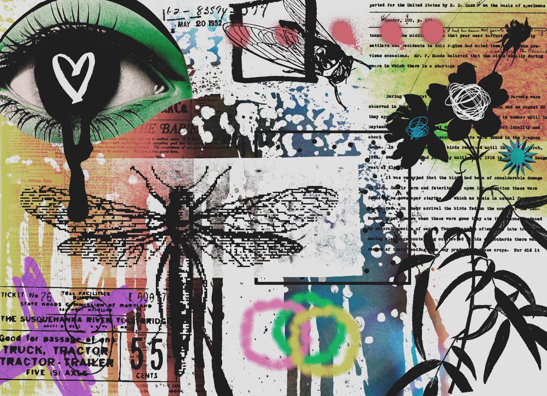 Collage of art with dragonflies and flowers Collage of art with dragonflies and flowers