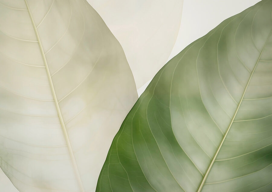 Papel de parede Folhas elegantes em tons suaves. - Image 4