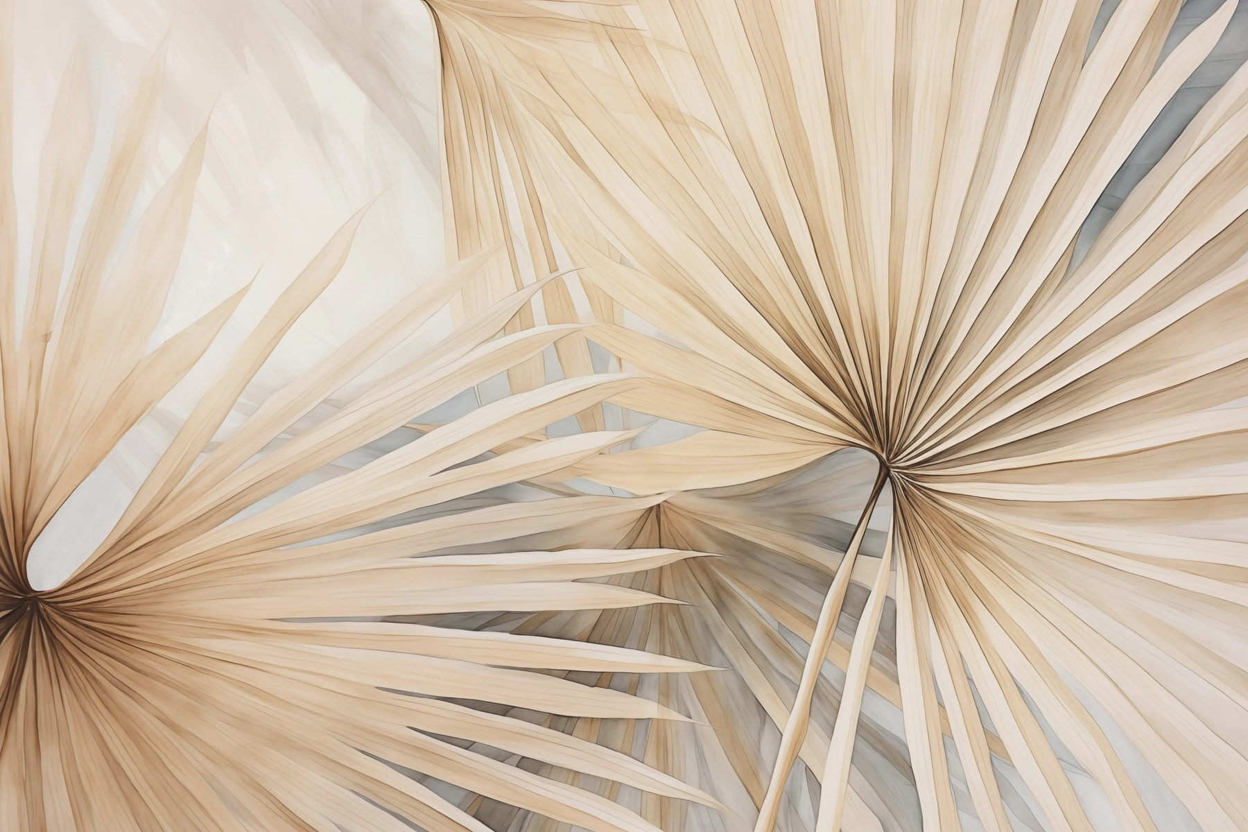 Nature’s elegant fan-shaped patterns Nature’s elegant fan-shaped patterns