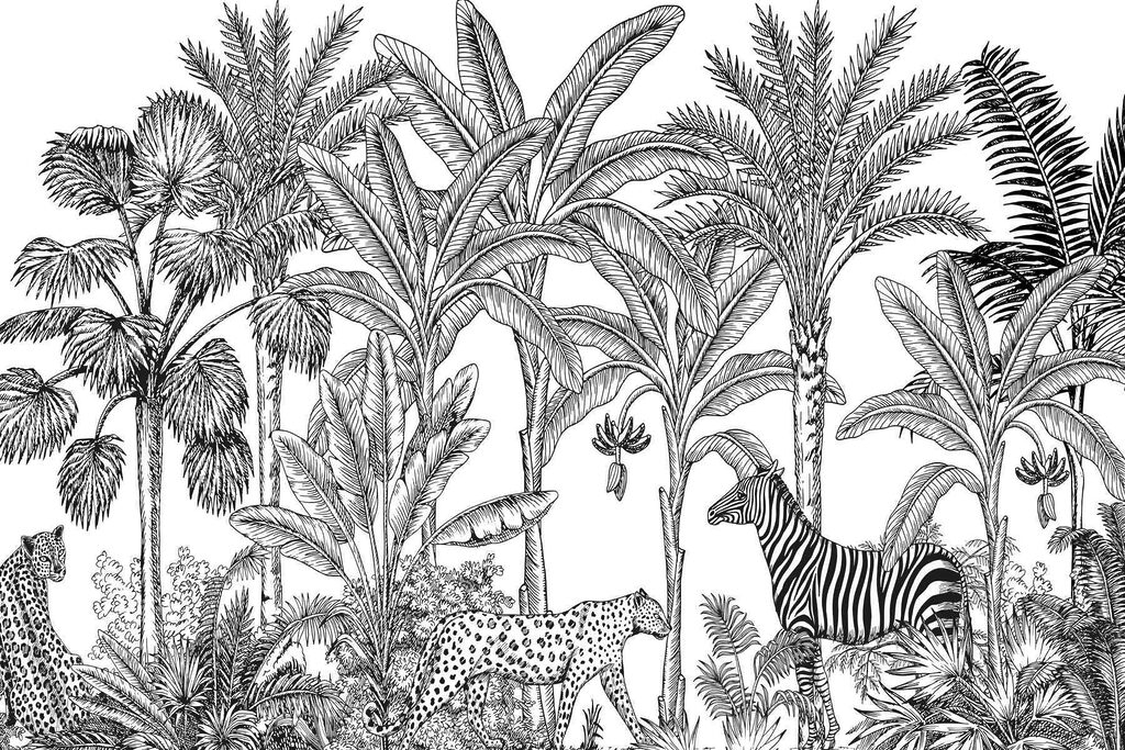 Zebra e chita numa selva Zebra e chita numa selva