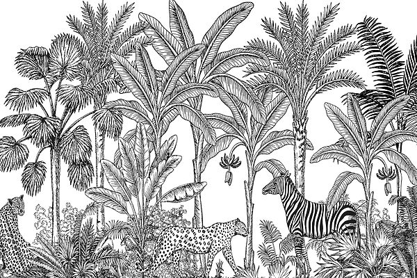 Zebra e chita numa selva Zebra e chita numa selva
