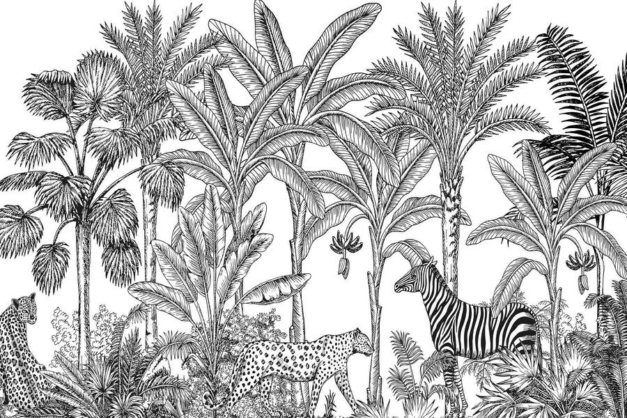 Zebra e chita numa selva Zebra e chita numa selva