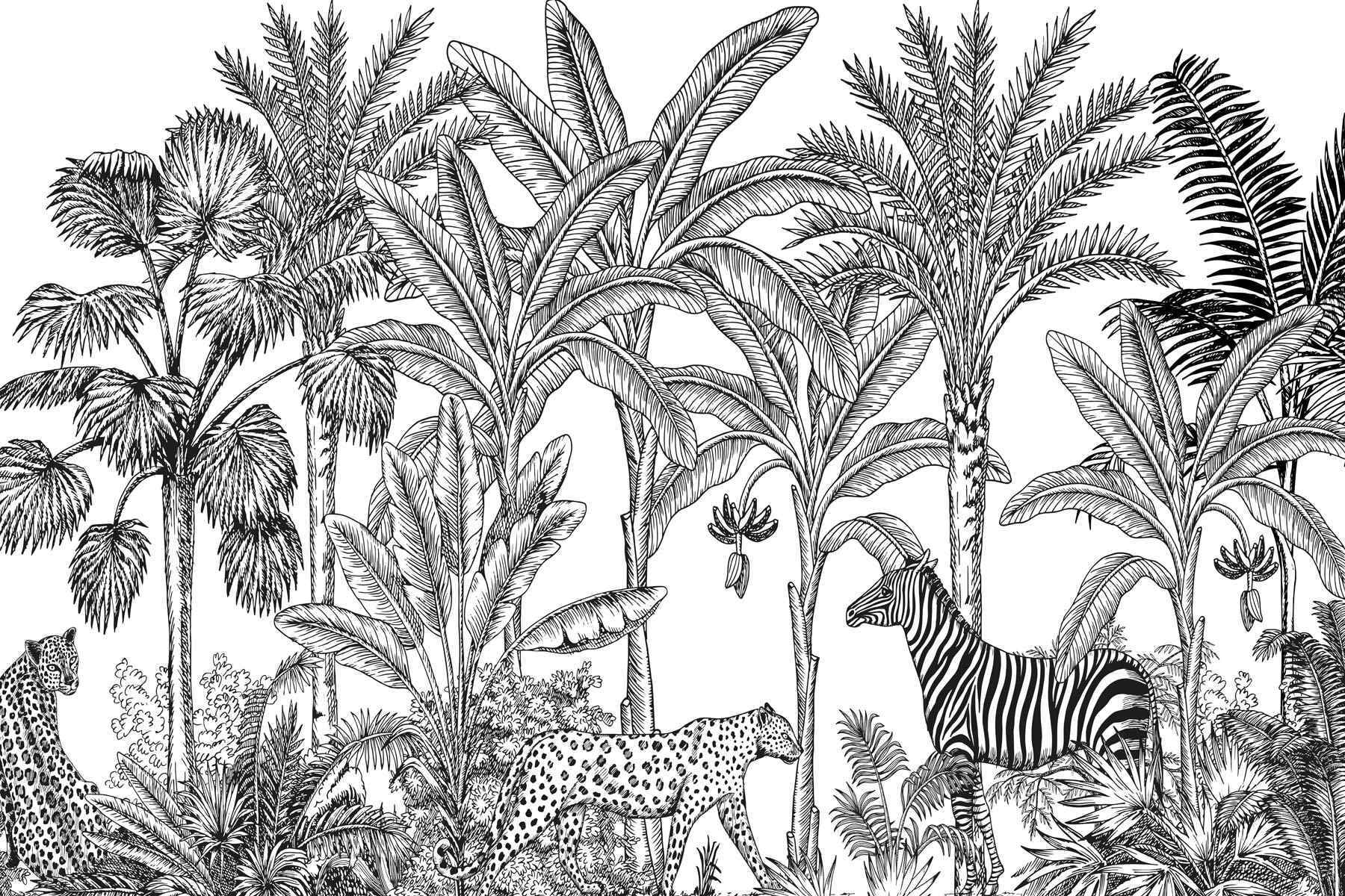 Zebra and cheetah in a jungle Zebra and cheetah in a jungle