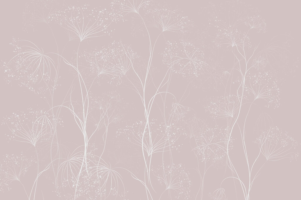 Flores brancas sobre um fundo cor-de-rosa Flores brancas sobre um fundo cor-de-rosa