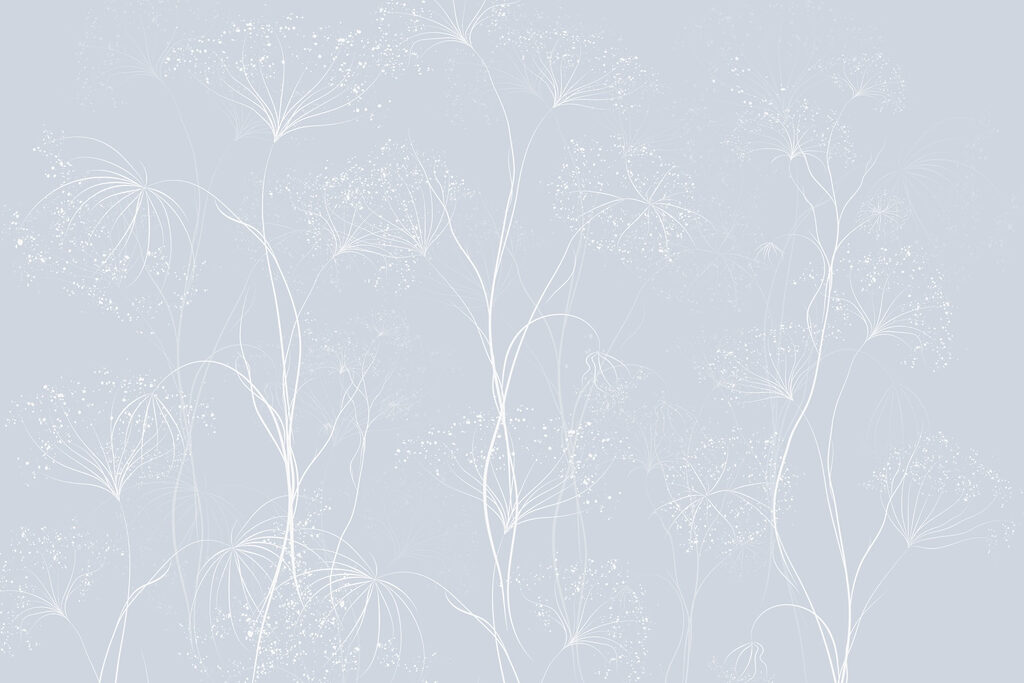 Flores brancas sobre um fundo azul Flores brancas sobre um fundo azul