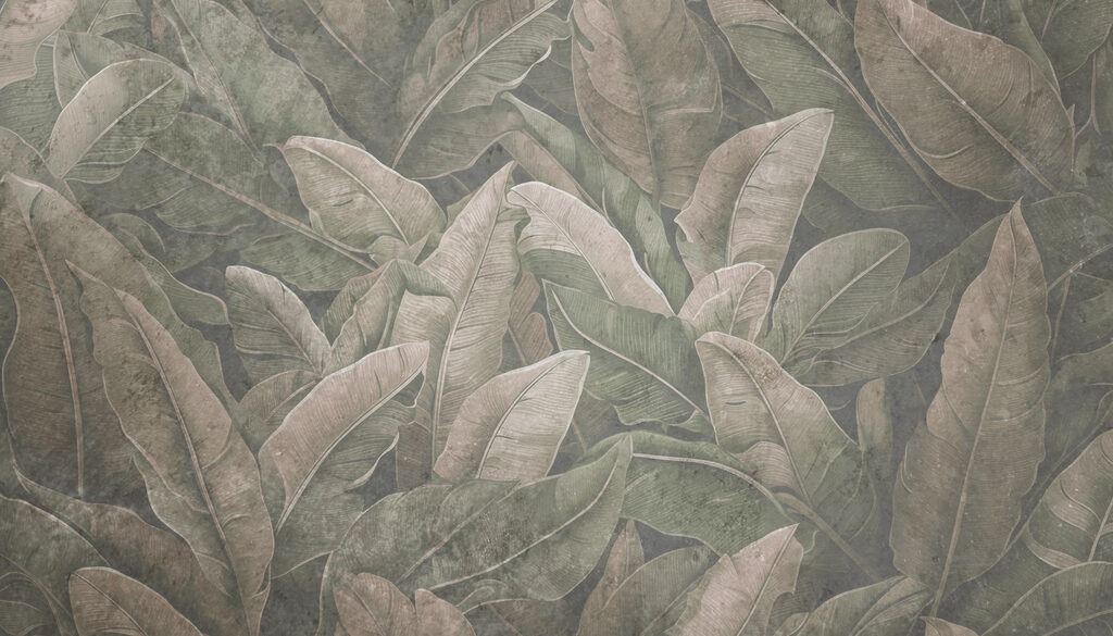 Os padrões detalhados das folhas da natureza revelados. Os padrões detalhados das folhas da natureza revelados.