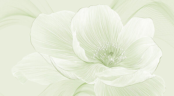 Linhas delicadas da beleza da natureza Linhas delicadas da beleza da natureza