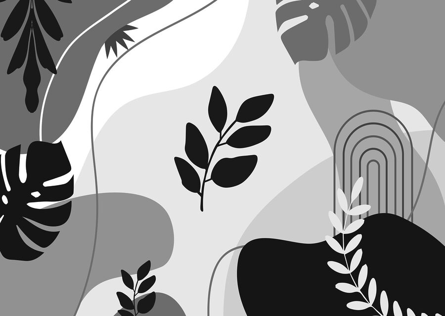 Imagem a preto e branco de folhas e plantas