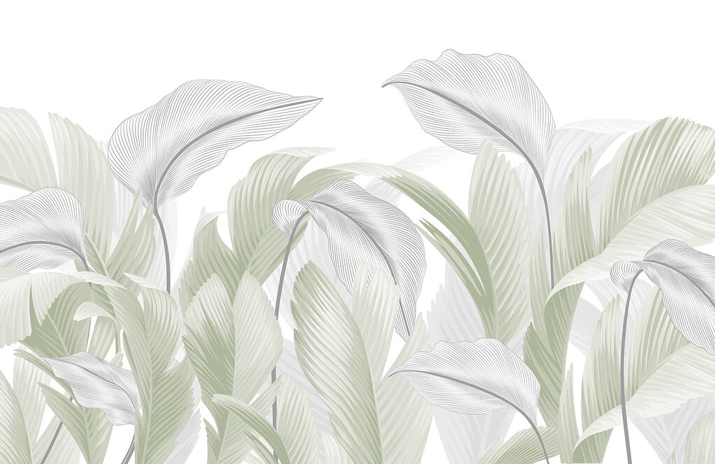 Elegantes folhas verdes num fundo branco Elegantes folhas verdes num fundo branco