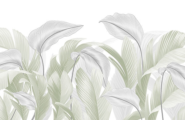 Elegantes folhas verdes num fundo branco Elegantes folhas verdes num fundo branco